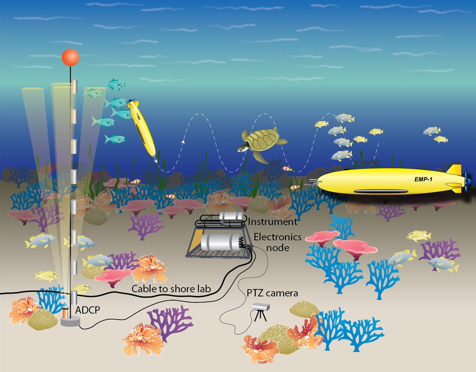 Figure 4. The overview of biodiversity and environmental underwater monitoring system (OCEANS).