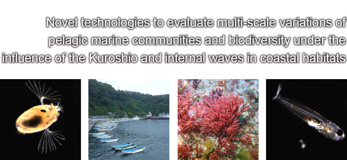 Novel technologies to evaluate multi-scale variations of pelagic marine communities and biodiversity under the influence of the Kuroshio and internal waves in coastal habitats