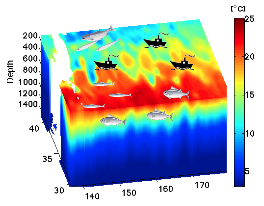 3次元の水温分布と漁業のイメージ