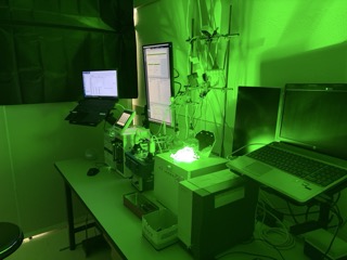 1st-photoreaction