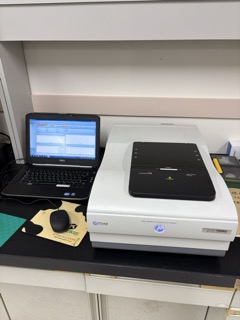 XRF