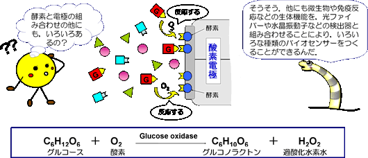 遠藤 研究室