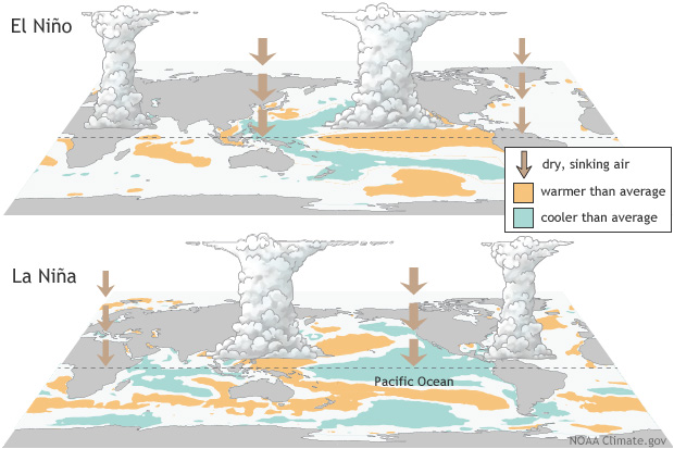 El Niño と La Niña の概念図
