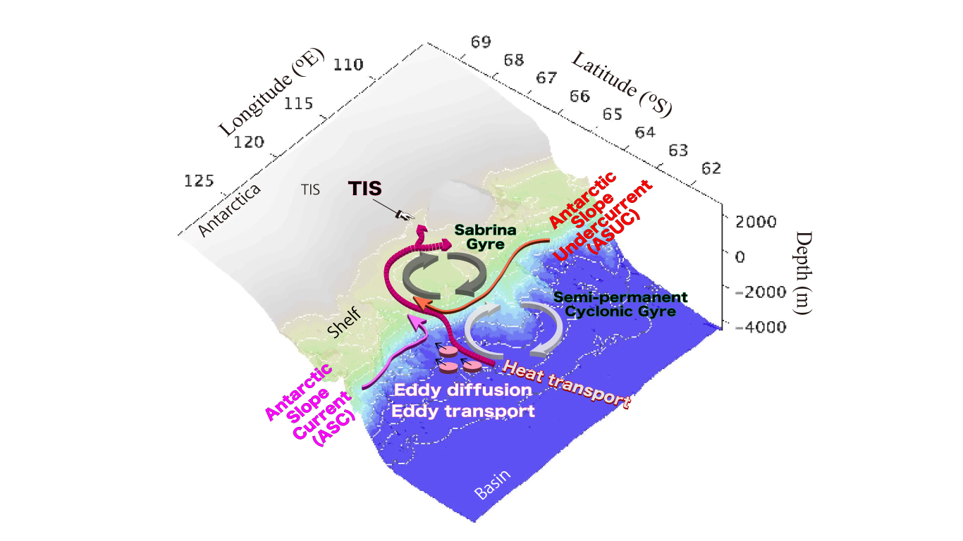 トッテン棚氷周辺の熱輸送メカニズム概念図