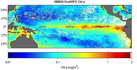 クロロフィルa の対数スケールマップ