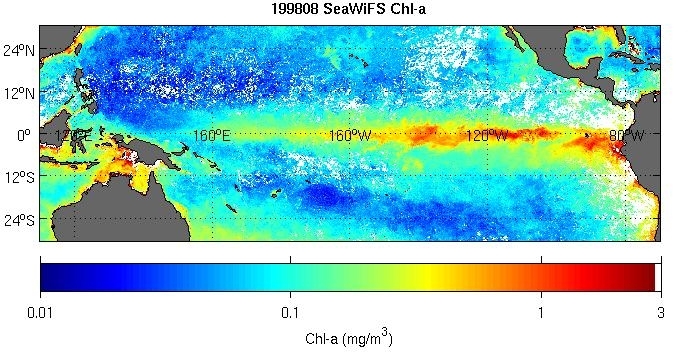 海面クロロフィル-a 濃度の対数スケールマップ