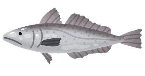 メルルーサのイラスト（魚）