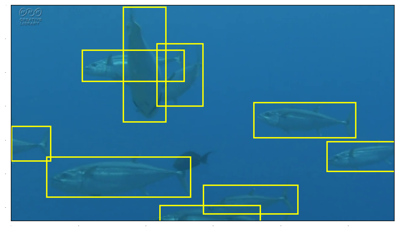 ../_images/src_3_Faster_RCNN_Tuna_18_0.png